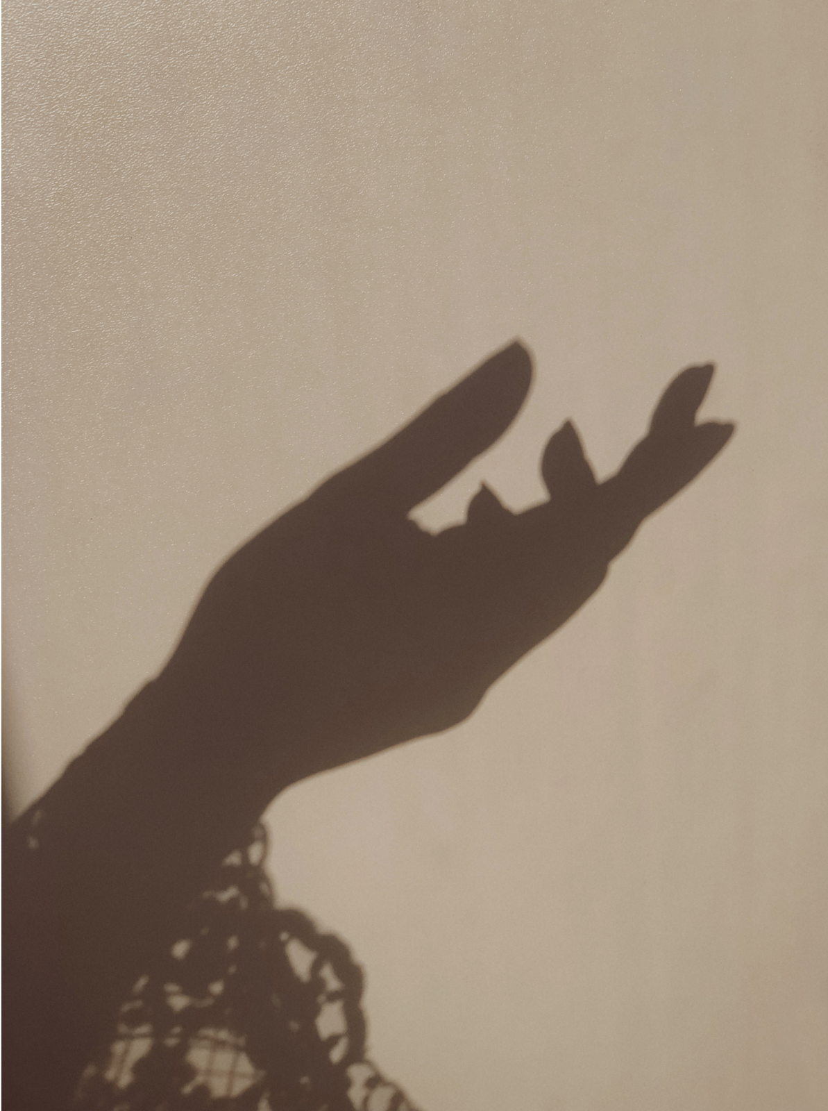 unnamed image